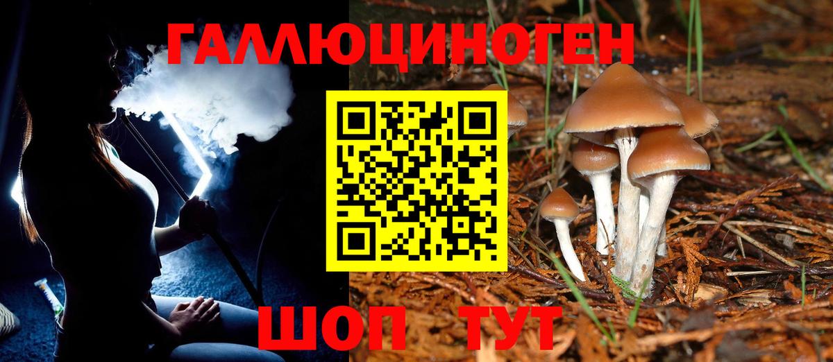 Псилоцибиновые грибы Psilocybe  закладки  Канаш  Вход с VPN  Псилоцибиновые грибы Psilocybine cubensis 
